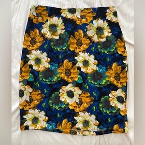 Colorful pencil skirt